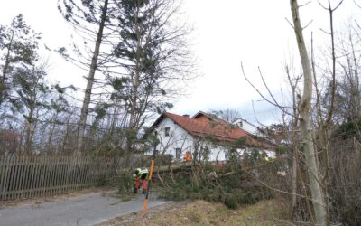 Feuerwehren im Sturm-Einsatz