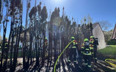 Brennende Hecke nach Unkrautbekämpfung